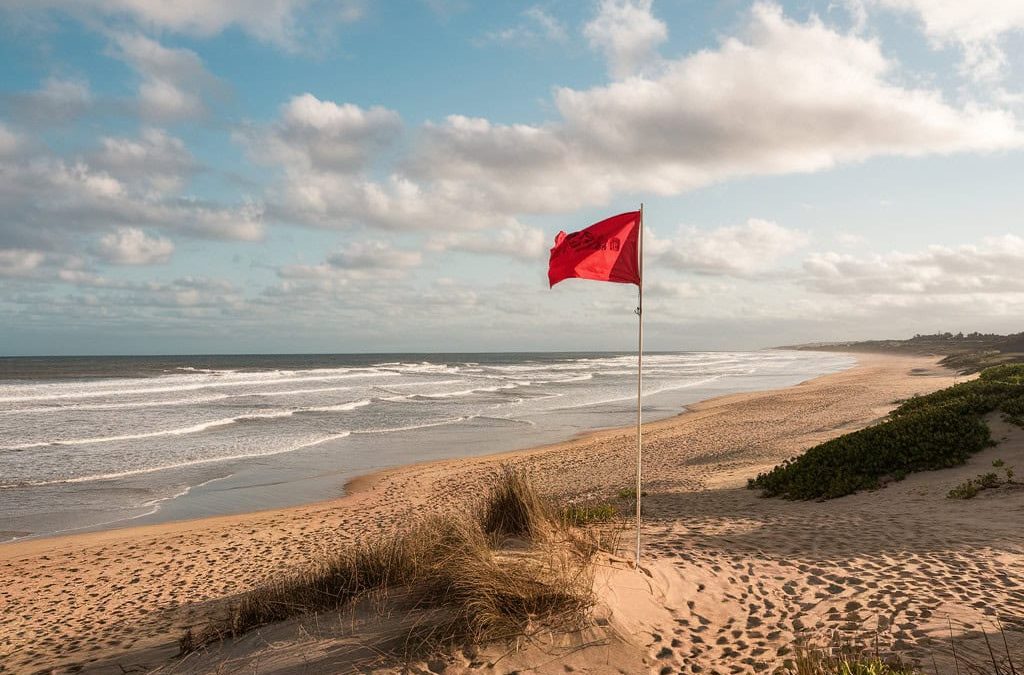 Best Practices and Red Flags Your Team Needs to Know About AMS Selection