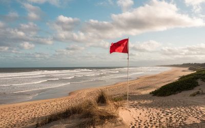 Best Practices and Red Flags Your Team Needs to Know About AMS Selection